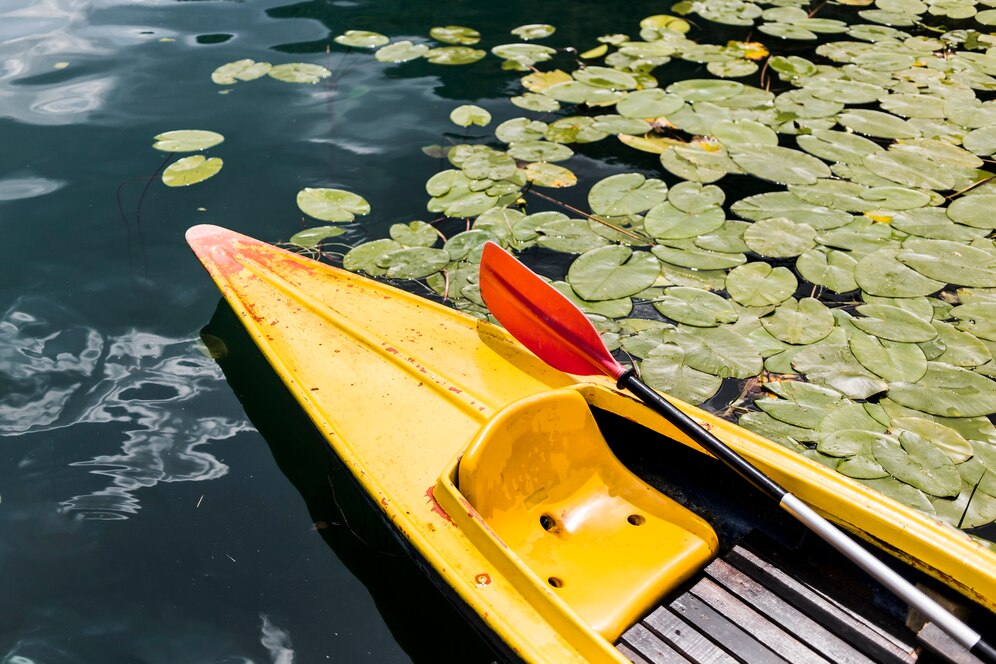 Types of Kayak Paddles